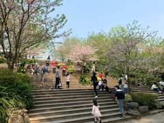 -南山植物园