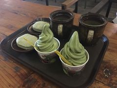 -雪绿茶博物馆