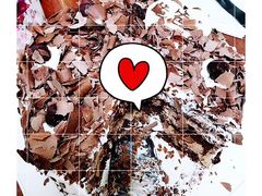 -美滋每客(亲贤北街店)