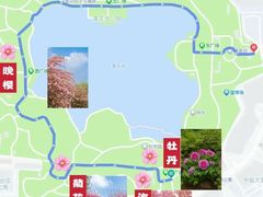 -莲花池公园