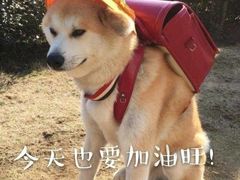 -恋萍小吃(时代店)