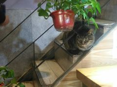 -螺大蛳柳州螺蛳粉·火锅·热干面(西城永捷店)