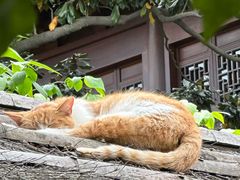 -龙华寺
