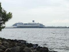 -上海吴淞炮台湾国家湿地公园