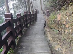 -缙云山景区