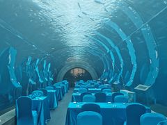 -海棠湾洲际-涛·海底餐厅·美人鱼·自助餐·海底隧道