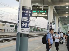 -大槐树寻根祭祖园