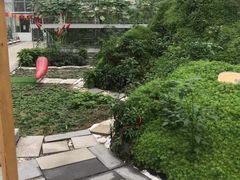 -北戴河集发农业梦想王国