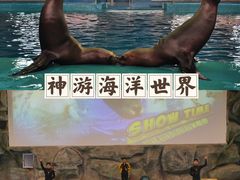 -威海华夏城景区