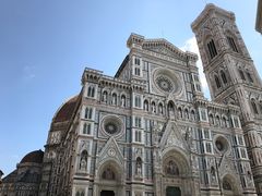 -圣母百花大教堂穹顶