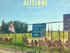 -崖口云吞(中堡店)