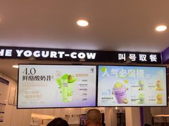 -一只酸奶牛(洪崖洞11楼店)