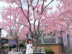 -首开·龙湖成都西宸天街