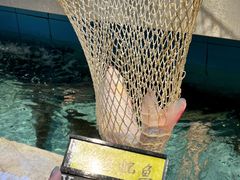 -金百门·顺德海鲜酒家(陈村店)