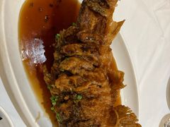 老济南糖醋鲤鱼-金春禧(世茂国际广场店)
