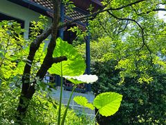 -常德桃花源景区