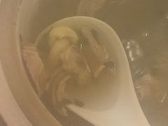 -松鹤楼(狮山永利广场店)