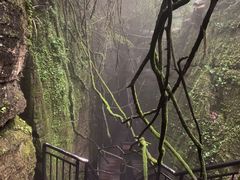 -梦幻奥陶纪景区