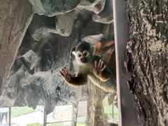 -鄂尔多斯野生动物园