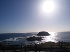 -企鹅岛