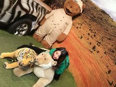 -济州岛泰迪熊博物馆