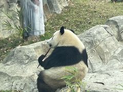 -武汉动物园