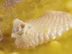 白果炖鸡-妈妈传炖品(双林店)