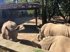 -西安秦岭野生动物园