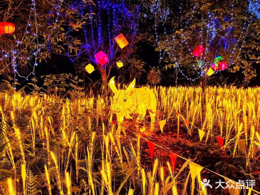 绝美的烟花从古城上空炸裂，有种让人穿梭时光的错觉