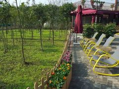 -森居forest休闲咖啡聚集地