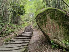 -缙云山景区