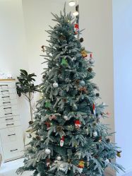 -盼兮·日式美睫沙龙