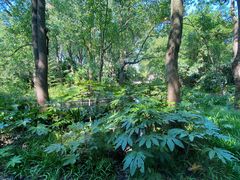 景观位-西郊宾馆·1921餐厅