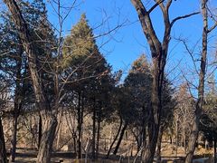 -白水寺森林公园