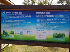 -上海长兴岛郊野公园