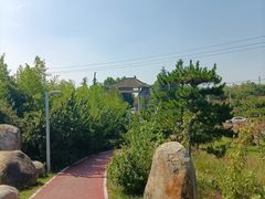 -秦岭风景区