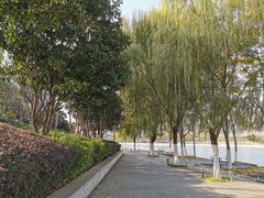 -滨湖塘西河公园