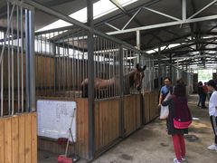 -月河湾马术俱乐部(朝阳店)