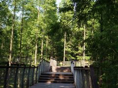 -黄海国家森林公园