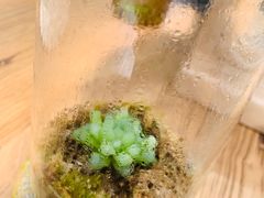 -北马山庄植趣咖啡
