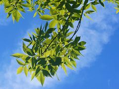 -周口店北京人遗址公园