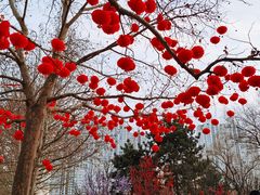 -朝阳公园游乐园