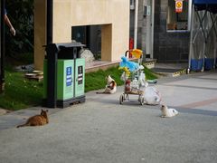 -苏州河梦清园环保主题公园