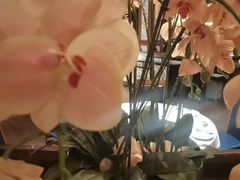 -八府香鸭·啫啫煲(华山路店)