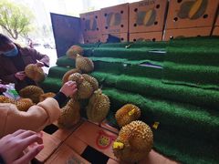 -鲜力达果品批发直销(无锡保利香槟店)