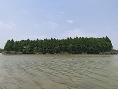 -苏州太湖国家湿地公园