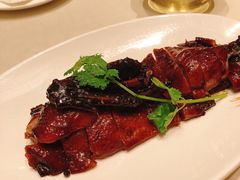 -蝶园·装修中(BFC外滩金融中心店)