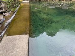 -白云源风景区