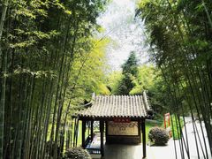 -求雨山文化公园