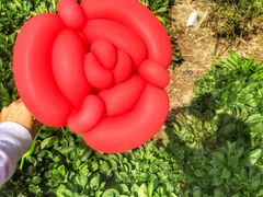 景点-上海长兴岛郊野公园